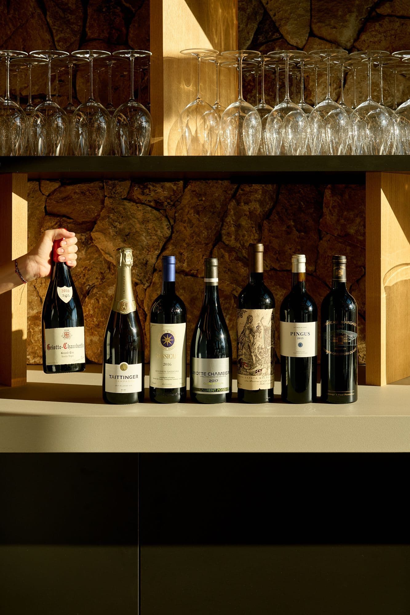 Vínna selekcia Vínna selekcia